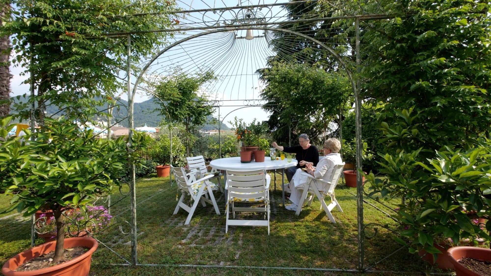Garden Garde